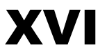 XVI FILMS